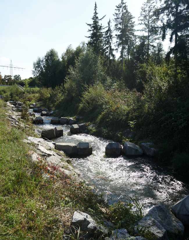 Barrierefreie Route um den  Kauferinger See am Lechradweg