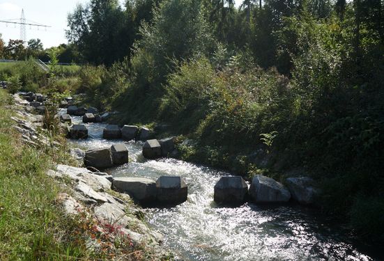 Barrierefreie Route um den  Kauferinger See am Lechradweg